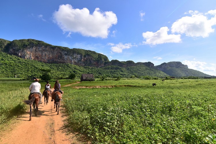 Thung lũng Vinales Thung lũng Vinales